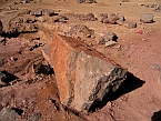 interessanter fossilien marmor