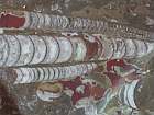 interessanter fossilien marmor