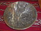 interessanter fossilien marmor