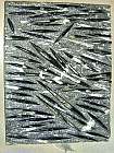 interessanter fossilien marmor