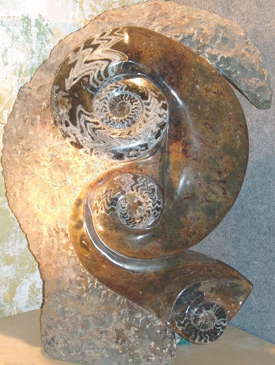 fossilien marmor skulptur embryo ammonit