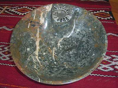 fossilienmarmor schale riesig mit ammonit