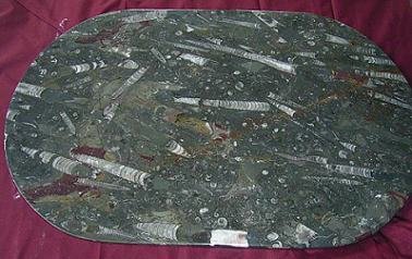 grauer tisch fossilien marmor