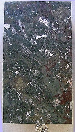 fossilerouge