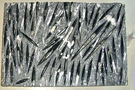 fossilerelief