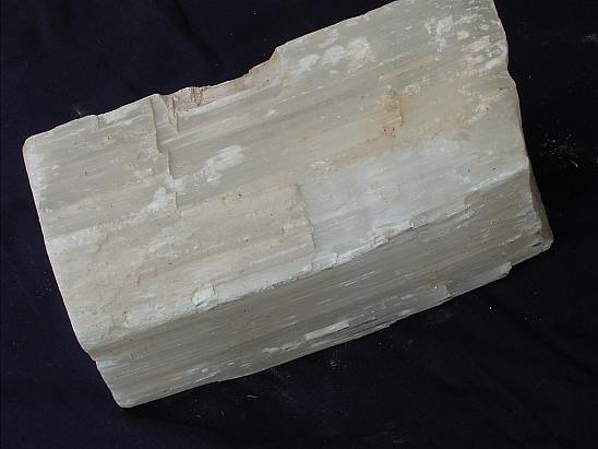 interessanter fossilien marmor