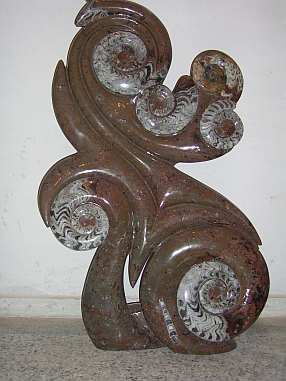 interessanter fossilien marmor