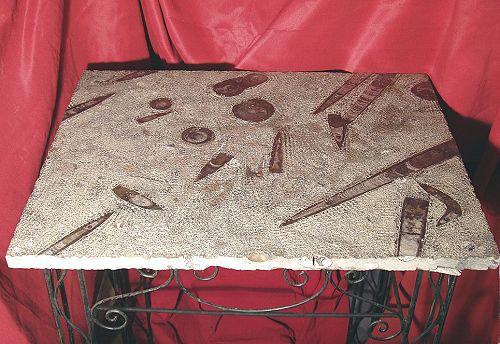 fossilien tisch rauh